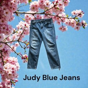 Judy Blue Distressed Ankle Jeans Size 31